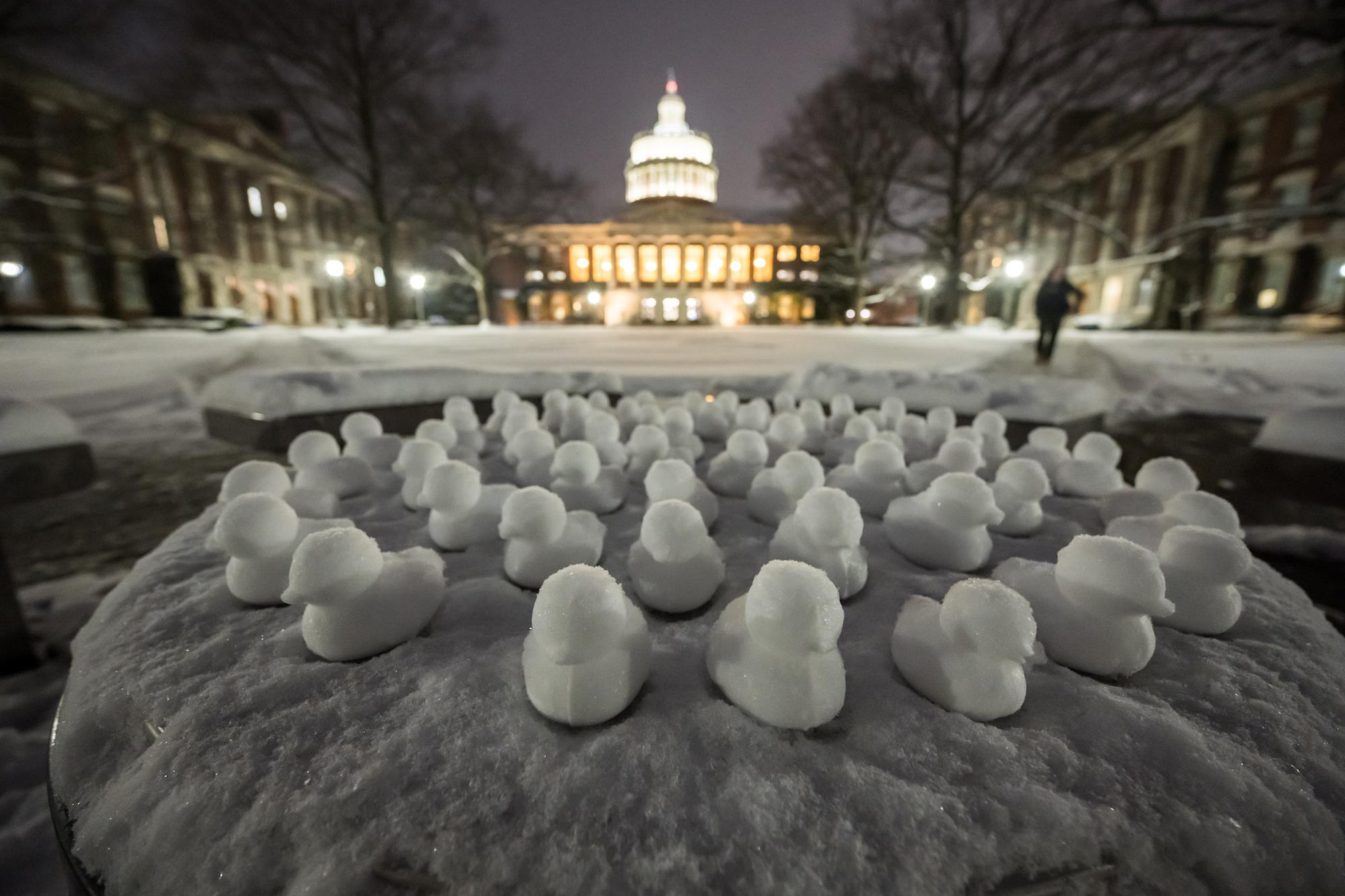 几十只用雪做成的鸭子被户外灯光照亮，站在下雪的院子里